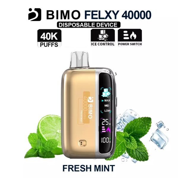 BIMO FELXY 40000 Kit – Fresh Mint