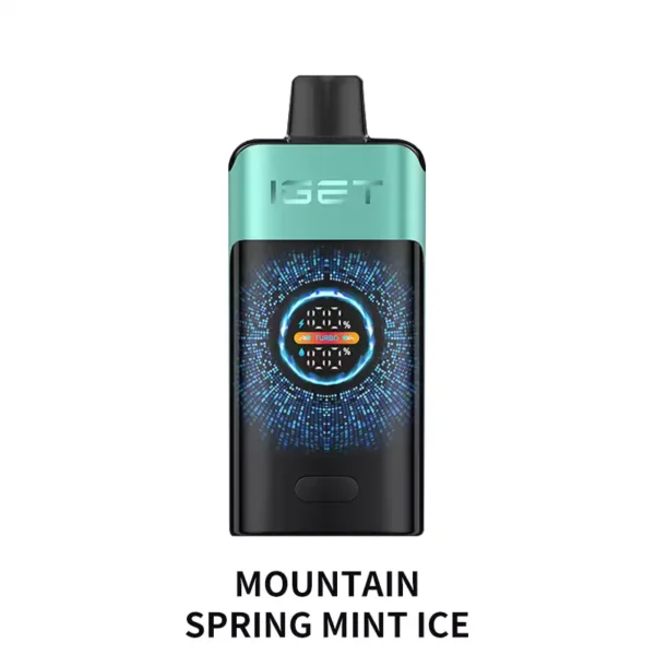 IGET ONE 12000 – Mountain Spring Mint Ice