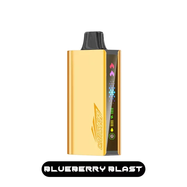 JNR CRUISER 12000 – Blueberry Blast