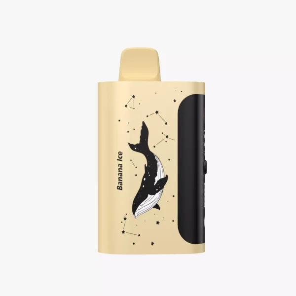 PICCO STAR 40000 – Banana Ice