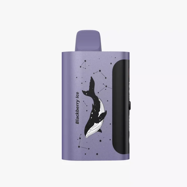 PICCO STAR 40000 – Blackberry Ice