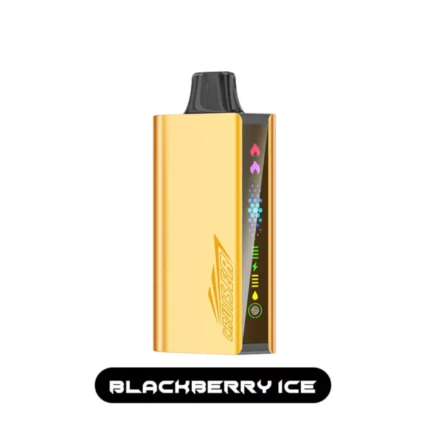 JNR CRUISER 12000 – Blackberry Ice